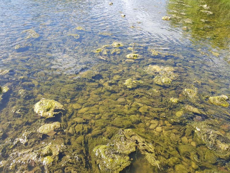below leyburn