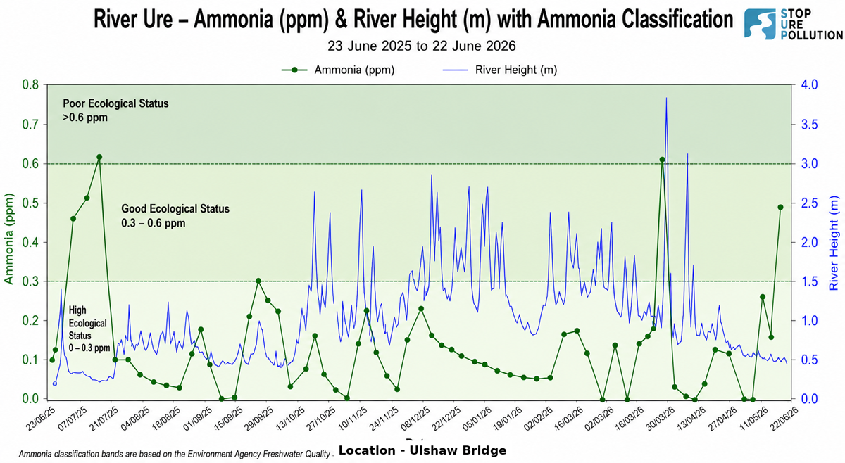 ammonia small